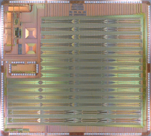 chip photo