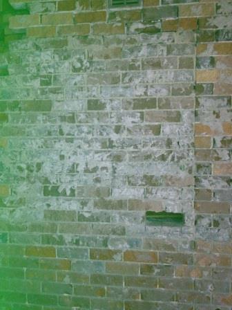 Week10: left side of living room wall showing window