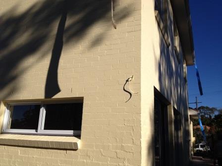 Week18: Light at rear of house